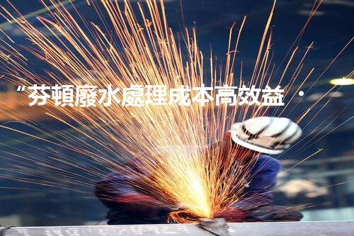 “芬頓廢水處理成本高效益，環(huán)保投資新選擇”